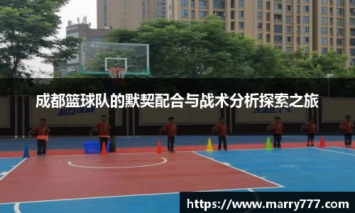 成都篮球队的默契配合与战术分析探索之旅